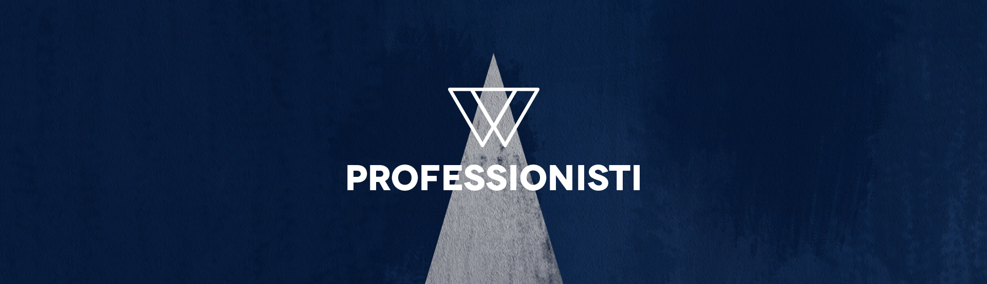 professionisti
